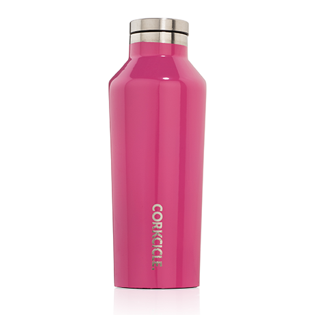 Corkcicle 9oz. Canteen Brushed Steel