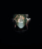 Smartphone Projector 2.0